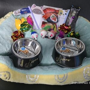 Cat Gift Set/New Cat Bundle!